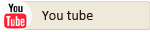 yt